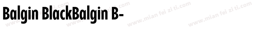 Balgin BlackBalgin B字体转换